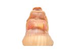 adidas Yeezy Boost 350 V2 ‚Mono Clay‘ GW2870 Skidge Store