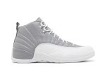Air Jordan 12 ‚Stealth‘ CT8013-015