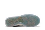 Florida A&M University x Nike Dunk Low ‚We Bragg Different‘ DR6188-800
