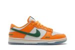 Florida A&M University x Nike Dunk Low ‚We Bragg Different‘ DR6188-800  Skidge Store