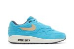 Nike Air Max 1 PRM ‚Baltic Blue‘ FB8915-400  Skidge Store