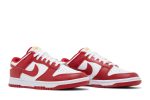 Nike Dunk Low ‚Gym Red‘ [also worn by BTS Suga] DD1391-602  Skidge Store