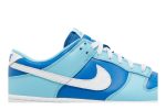 Nike Dunk Low Retro QS ‚Argon‘ 2022 DM0121-400  Skidge Store
