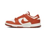 Nike Dunk Low Retro ‚Sun Club‘ DR5475-100  Skidge Store
