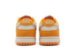 Nike Dunk Low ‚Safari Swoosh‘ DR0156-800