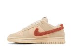 Nike Dunk Low ‚Terry Swoosh‘ DZ4706-200  Skidge Store