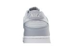 Nike Dunk Low ‚Two-Toned Grey‘ DH9765-001