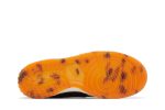 Nike Dunk Low ‚Year of the Tiger‘ DQ5351-001  Skidge Store