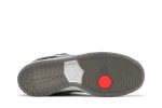 Nike SB Dunk Low ‚Camcorder‘ CV1659-001 Skidge Store