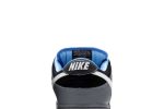 Nike SB Dunk Low ‚Petoskey Premier‘ 313170-014 Skidge Store