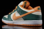 Nike SB Dunk Low Pro ‚Legion Pine‘ 304292-383 Skidge Store