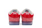 Nike SB Dunk Low x Stingwater ‚Magic Mushroom‘ DH7650-600 Skidge Store