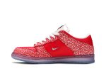 Nike SB Dunk Low x Stingwater ‚Magic Mushroom‘ DH7650-600 Skidge Store