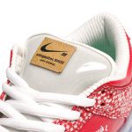 Nike SB Dunk Low x Stingwater ‚Magic Mushroom‘ DH7650-600 Skidge Store