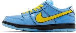 the_powerpuff_girls_x_nike_dunk_low_pro_sb_qs__bub_0_53032.jpeg
