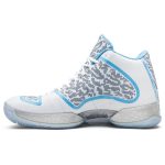 air_jordan_29_11_retro__ultimate_gift_of_flight_pa_0_61405.jpeg