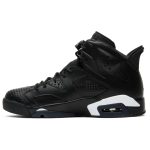 air_jordan_6_retro__black_cat__384664_020_0_63909.jpeg