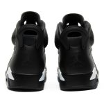 air_jordan_6_retro__black_cat__384664_020_0_63909.jpeg