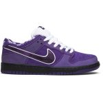 concepts_x_nike_sb_dunk_low__purple_lobster__bv131_0_1663.jpeg