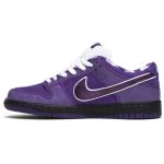 concepts_x_nike_sb_dunk_low__purple_lobster__bv131_0_1663.jpeg