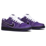 concepts_x_nike_sb_dunk_low__purple_lobster__bv131_0_1663.jpeg