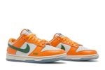 Florida A&M University x Nike Dunk Low ‘We Bragg Different’ DR6188-800  Skidge Store