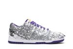 Nike Dunk Low ‘Flip The Old School’ DJ4636-100 Skidge Store