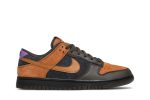 Nike Dunk Low Premium ‘Cider’ DH0601-001 Skidge Store