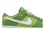 Nike Dunk Low Retro ‘Chlorophyll’ DJ6188-300  Skidge Store