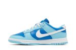 Nike Dunk Low Retro QS ‘Argon’ 2022 DM0121-400  Skidge Store