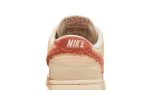 Nike Dunk Low ‘Terry Swoosh’ DZ4706-200