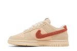 Nike Dunk Low ‘Terry Swoosh’ DZ4706-200