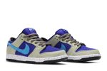 Nike SB Dunk Low ‘ACG Celadon’ BQ6817-301 Skidge Store