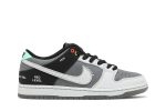 Nike SB Dunk Low ‘Camcorder’ CV1659-001 Skidge Store