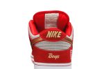 Nike SB Dunk Low ‘Nasty Boys’ 304292-610 Skidge Store