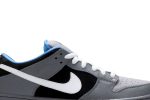 Nike SB Dunk Low ‘Petoskey Premier’ 313170-014 Skidge Store