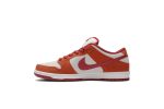 Nike SB Dunk Low Pro ‘Dark Russet’ BQ6817-202 Skidge Store