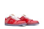 Nike SB Dunk Low x Stingwater ‘Magic Mushroom’ DH7650-600 Skidge Store