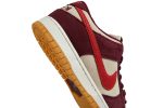 Skate Like a Girl x Nike SB Dunk Low Pro DX4589-600  Skidge Store