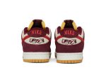 Skate Like a Girl x Nike SB Dunk Low Pro DX4589-600  Skidge Store