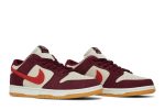 Skate Like a Girl x Nike SB Dunk Low Pro DX4589-600  Skidge Store