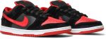 nike_sb_dunk_low_pro__jpack__304292_039_0_96336.jpeg